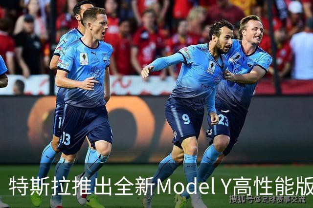 特斯拉推出全新Model Y高性能版，同时面临降价与质量投诉